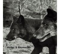 Barker & Baumecker - Transsektoral