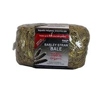 Barley Straw Bale - treats ponds up to 1200 Gallons