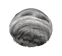 Barn Black and White Shower Cap for Women Reusable Waterproof Shower Bonnet Washable Elastic Band Bath Hair Hat Double Layered Bath Cap Extra Large for Long Hair