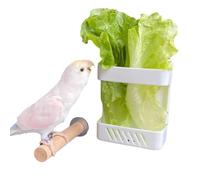 Barn Eleven Bird Parrot Feeder with Stand, Plastic Pet Feeder for Multiple Pets, Durable Vegetable Rack, Hanging Baskets for Bird, Rabbit, Hamster Cage Decoration