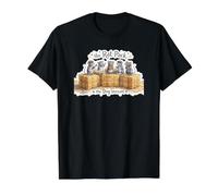 Barn Hunt Lover - Group of Rats on hay Bales Value Graphic T-Shirt, Men, Black, XL