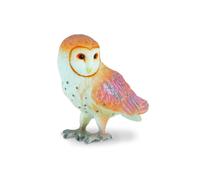 Barn Owl