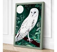 Barn Owl at Night Boho Canvas Wall Art Print 18x12 Inch