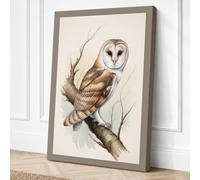 Barn Owl at Rest Botanical Canvas Wall Art Print 24x16 Inch (61 x 41 cm)