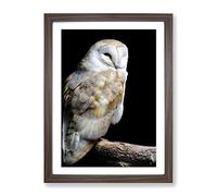 Barn Owl Bird No.1 Modern Framed Wall Art Print, Ready to Hang Picture for Living Room Bedroom Home Office Décor, Walnut A3 (34 x 46 cm)