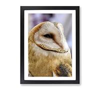 Barn Owl Bird No.2 Modern Framed Print | A2 Black Framed Wall Art | Ready to Hang | Modern Animal Picture | Living Room Bedroom Lounge Office