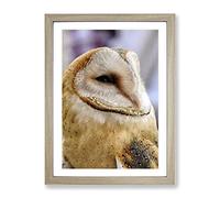 Barn Owl Bird No.2 Modern Framed Print | A3 Oak Framed Wall Art | Ready to Hang | Modern Animal Picture | Living Room Bedroom Lounge Office