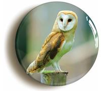 Barn Owl Bird Watching Button Badge (1inch / 25mm diameter)