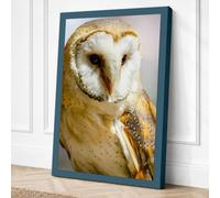 Barn Owl Close Up Canvas Wall Art Print 18x12 Inch