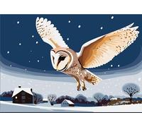 Barn Owl Greetings Card 125mm x 178mm Including Envelope PT330