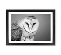 Barn Owl in Abstract Framed Print | A2 Black Framed Wall Art | Ready to Hang | Abstract Animal Picture | Living Room Bedroom Lounge Office