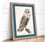 Barn Owl in Profile Botanical Framed Wall Art Print A2 Oak