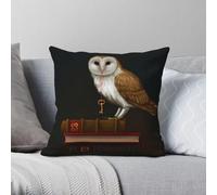 Barn Owl Key To Knowledge Square Pillowcase Polyester Linen Velvet Creative Zip Decorative Car Cushion Case