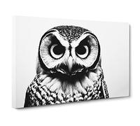 Barn Owl Monochrome Canvas Print | Gallery Wrapped 30mm Frame Wall Art | 30x20 inches | Ready to Hang | Contemporary Animals Picture | Living Room Bedroom Lounge Office