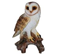 Barn Owl Real Life Ornament by Vivid Arts