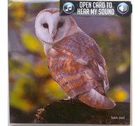 Barn Owl RSPB Greeting Sound Card by Really Wild Cards