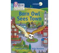 Barn Owl Sees Town: Phase 3 Set 1 Blending practice (Big Cat Phonics for Little Wandle Letters and Sounds Revised - Age 7+)