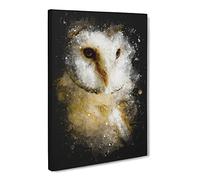 Barn Owl Vol.2 Paint Splash Modern Canvas Wall Art Print Ready to Hang, Framed Picture for Living Room Bedroom Home Office Décor, 24x16 Inch (60x40 cm)