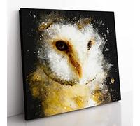 Barn Owl Vol.2 Paint Splash Modern Canvas Wall Art Print Ready to Hang, Framed Picture for Living Room Bedroom Home Office Décor, 50x50 cm (20x20 Inch)