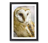 Barn Owl Vol.2 Painting Framed Print | A2 Black Framed Wall Art | Ready to Hang | Modern Animal Picture | Living Room Bedroom Lounge Office