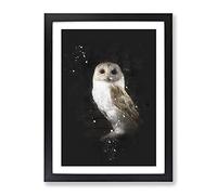 Barn Owl Vol.6 Paint Splash Modern Framed Wall Art Print, Ready to Hang Picture for Living Room Bedroom Home Office Décor, Black A2 (64 x 46 cm)