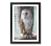 Barn Owl Vol.7 Painting Framed Print | A2 Black Framed Wall Art | Ready to Hang | Modern Animal Picture | Living Room Bedroom Lounge Office