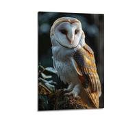 Barn Owl Wildlife Photography Poster in Natural Habitat with Heart-Shaped Face Details Decorative Canvas Family Bedroom Artwork Picture Painting 24x36inch(60x90cm)