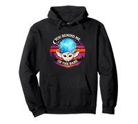 Barn Owl, You Remind Me of the Babe, retro style Pullover Hoodie