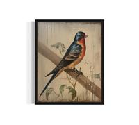 Barn Swallow Art Print Poster, Vintage Waterfowl Bird Farmhouse Wall Art Vintage Print, Animal Brid Poster Decor 103 (Barn Swallow, 8 x 10 inches, Unframed)