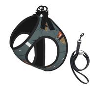 Barn Swallow In Graphite Printing Dog Summer Harness With Leash Set,Adjustable And Reflective Step-In Puppy Pet Vest Harnesses