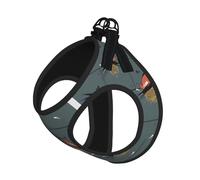 Barn Swallow In Graphite Printing Dog Summer Harness With Leash Set,Adjustable And Reflective Step-In Puppy Pet Vest Harnesses