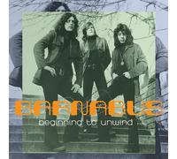 Barnabus : Beginning to Unwind CD (2020) NEW FREE Shipping, Save £s