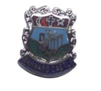 Barnard Castle Enamel Lapel Pin Badge