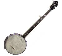 Barnes & Mullins Albert Open Back 5-String Banjo