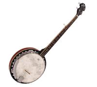 Barnes & Mullins BJ300 Perfect 5 String Banjo
