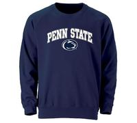 Barnesmith Spirit Logo Adult Unisex Crewneck Sweatshirt, Color