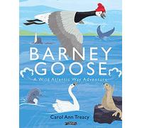 Barney Goose : A Wild Atlantic Way Adventure