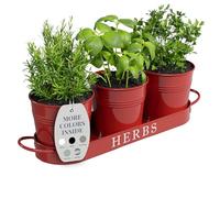 Barnyard Designs Farmhouse Herb Garden Planter Set with Tray or Outdoor Apartment Window Planter Box, Indoor Herb Garden Pots, Red, Set/3