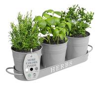 Barnyard Designs Indoor Herb Garden Planter Set with Tray, Metal Windowsill Plant Pots with Drainage for Outdoor or Indoor Plants, Grey, Set/3