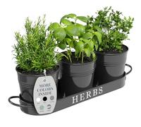 Barnyard Designs Indoor Herb Garden Planter Set with Tray, Metal Windowsill Plant Pots with Drainage for Outdoor or Indoor Plants, Black, Set/3