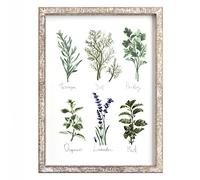 Barnyard Designs Kitchen Herbs and Spices Wall Art Decor Botanical Print Sign Rustic Country Farmhouse Wood Plaque Framed Home Wall Decor 15.75” x 11.75”
