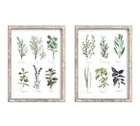 Barnyard Designs Vintage Herb and Spices Botanical Wood Framed Plaque Bundle