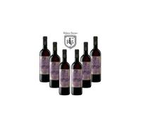 Baron de Casa Seleccion Syrah 6X75cl 13.5% Vol. Vintage 2023