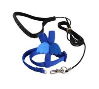BaronHong Bird Harness Leash Set for Walking, Durable Excursion Device, Adjustable Flight Training Rope Strap, Pull Rope (Blue, L)