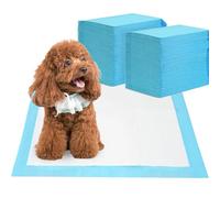 Barpor Puppy Training Pads 100 Pack - Large Dog Training Pads 60x60cm Super Absorbent Leak-Proof Anti-Slip Heavy Duty, 5-Layer Design with Quick Dry Surface