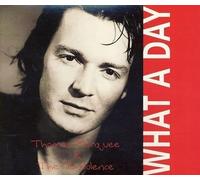 Barquee,Th.Turbolence,the - What a Day