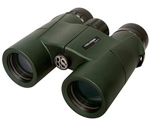 Barr & Stroud Sierra 10x32 Triangular Green Binoculars (128 mm, 121 mm, 47 mm, 600 g)