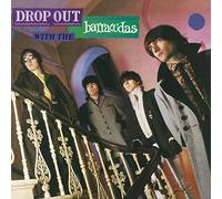 Barracudas - Dropout With The Barracudas