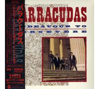 Barracudas, the - Endeavour to Persevere