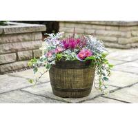 Whiskey Barrel Planter, Lightweight and easy to move 30cm x 5 by Thompson and Morgan (5)